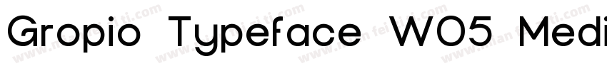 Gropio Typeface W05 Medium字体转换